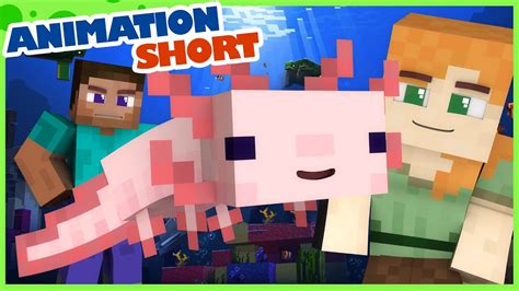 Axolotl Minecraft Animation Youtube