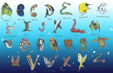 Sea Alphabet Drawing By Eric Fronapfel Pixels