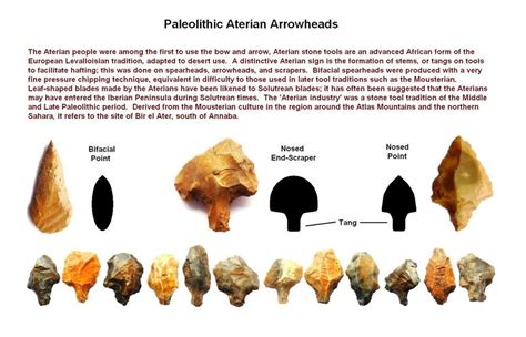 Paleolithic Arrowheads In 3d Frame Authentic Saharan Artifacts 70