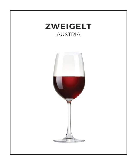 An Illustrated Guide To Zweigelt From Austria Wine Guide Wine Wine