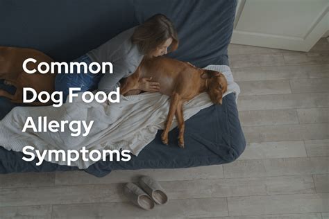 Does My Dog Have A Dog Food Allergy Dog Allergy Symptoms