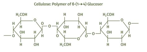 Dietary fat is fat consumed in the food that we eat. Carbohydrates Are Stored In Fhe Kiver And Musc In The Form ...