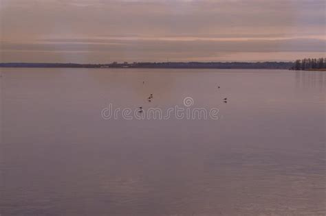 Landscape With Gulls Sitting On Lanterns Stock Photo Image Of Beauty