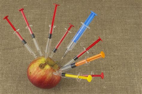 Gmo Fruit Genetic Modification Stock Photo Image Of