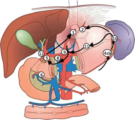 The Reverse Sweeping Procedure For Lymph Node Dissection For Gastric