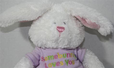 Gund Bunny Hugs Bean Filled White Rabbit Stuffed Plush With Purple Shirt 020996 Ebay