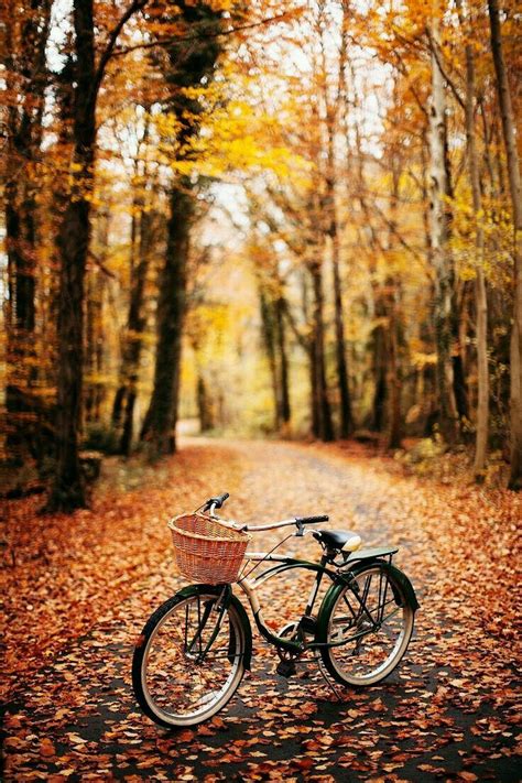 Pin By Mona Moni On Biçikleta Autumn Photography Autumn Scenes