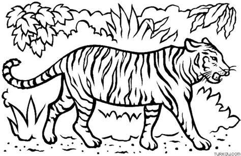 Tiger Ausmalbilder Turkau