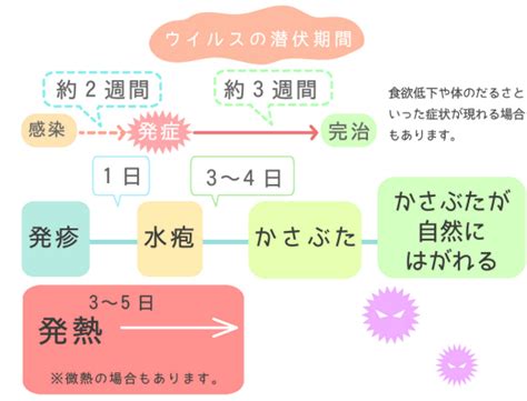 子供の水疱瘡は初期症状を見逃すな!早期治療が軽快のカギ ...
