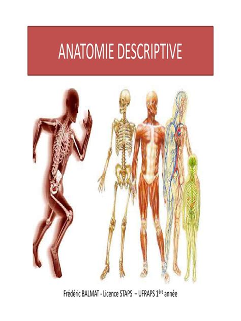 Poly Anatomie Descriptive Pdf Articulation Anatomie Articulation Anatomie