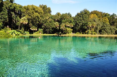 The 12 Best Springs In Florida To Visit Right Now
