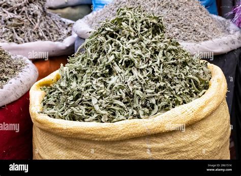 La Planta De Stevia Seca Sale En Los Mercados Herbales Locales Tambi N Conocidos Como Zocos En