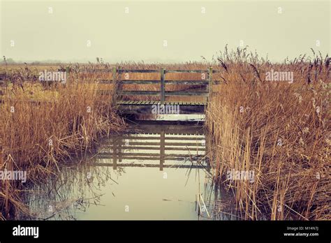 Reeds And Drainage Channel At Blue House Farm Nature Reserve In Essex
