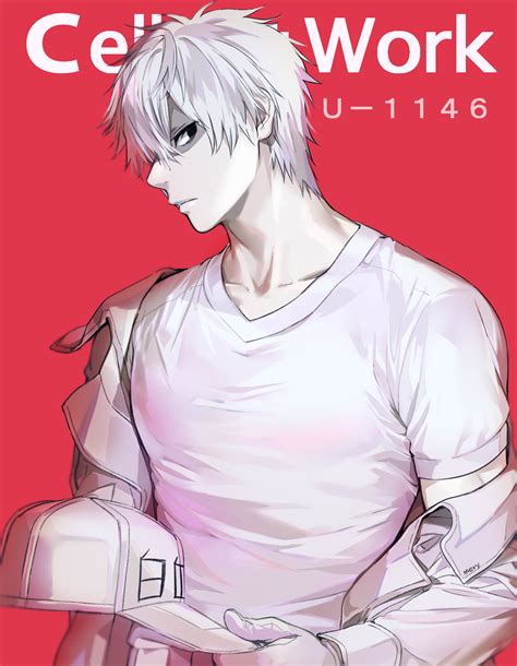 White Blood Cell Cells At Work Rbishounen