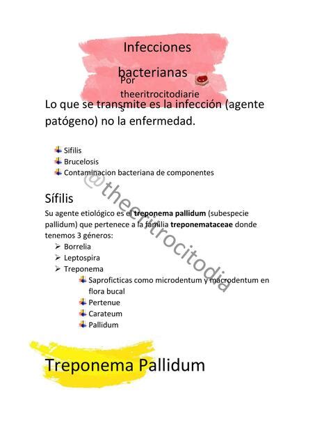 Seminario Bacterias Theeritrocitodiaries Udocz