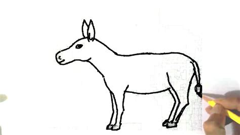 How To Draw A Donkey In Easy Steps For Beginners Youtube