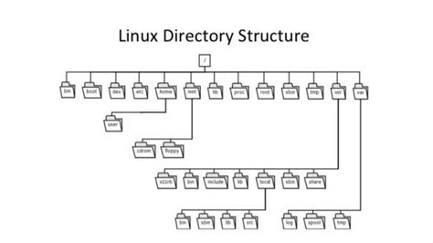 Linux Directory Structure Explained