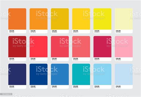 Modern Color Palette Swatch Set Trendy Colour Catalog Samples Vector