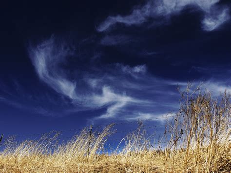 Dry Grass Against Sky Free Photo Download Freeimages