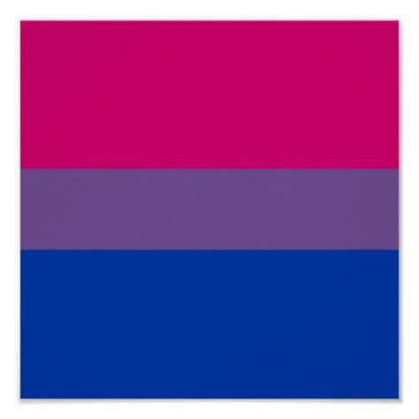 Bi Pride Flag Poster Zazzle