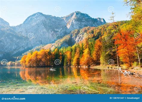 Autumn Trees On The Shore Of Lake In Alps Austria Stock Image Image