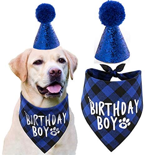 Is Your Dog The Best In A Birthday Hat