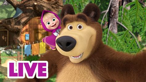 🔴 Live Stream माशा एंड द बेयर 🐾 ️🐻 एक दोस्त ढूँढ़ें या दो 📺 Masha And The Bear In Hindi