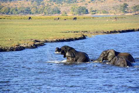 Chobe Np Potepanja