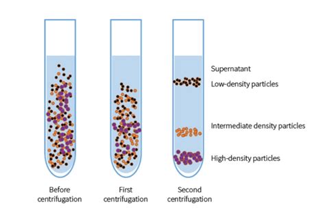 Microcentrifuge Uses And Principle Of Centrifugation In Laboratory