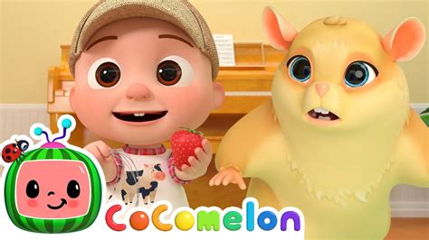 Lost Hamster Class Pet Cocomelon And Kids Songs Learning Videos