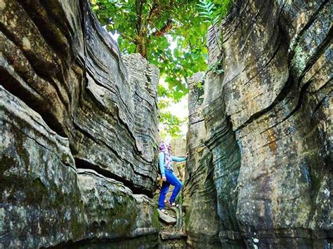 Kota yang dijuluki dengan kota hujan ini memang tidak diragukan lagi memiliki keindahan alam yang patut. 35 Tempat Wisata Di Bogor Terbaru Yang Bagus Dan Hits - Aneka Wisata