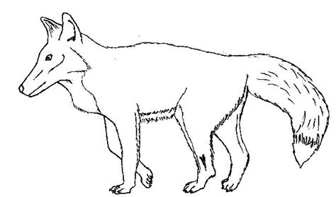 Red Fox Coloring Page Get Coloring Pages