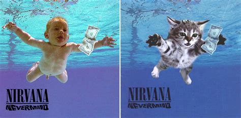 20 Iconic Rock Album Covers Hijacked By Cute Kittens
