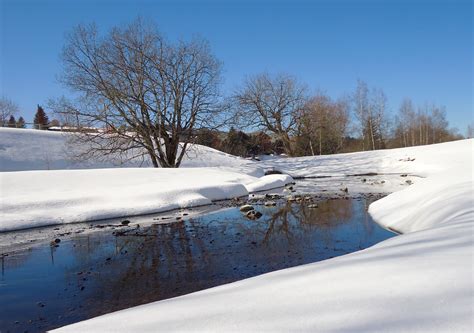 Free Images Tree Water Nature Creek Snow Winter Frost France
