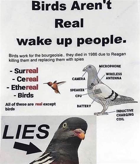 BIRDS DON’T EXIST : r/BirdsArentReal