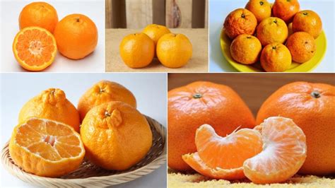Malaysian mandarin is a variety of mandarin chinese spoken in malaysia by ethnic chinese in malaysia. 5 Types Of Mandarin Oranges For Chinese New Year