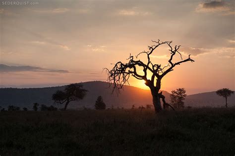 Sunset Serengeti Tanzania Betty Sederquist Photography