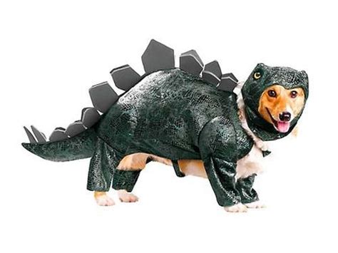 Dogs Dressed As Dinosaurs Dog Costumes Funny Dog Dinosaur Costume