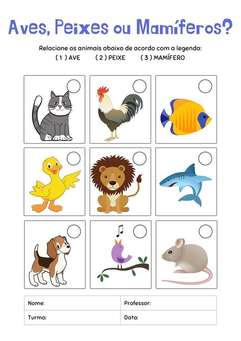 Atividades Sobre Animais Mamíferos Aves Répteis Anfíbios E Peixes