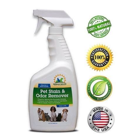 Indoor cats need vaccines too! Top 10 Best Enzyme Cleaners For Cat Urine in 2020 Reviews ...