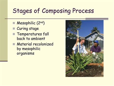 Ppt Lecture 9b Nitrogen Cycle N2 Gas Into No3 Powerpoint