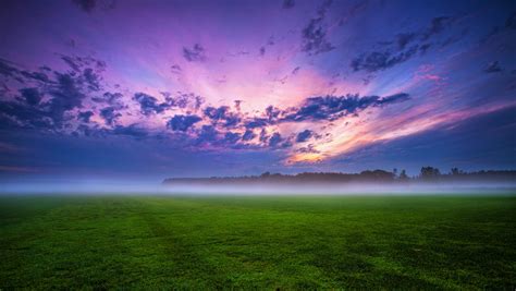 1360x768 Green Grass And Fogg Under Purple Sky During Sunset Desktop