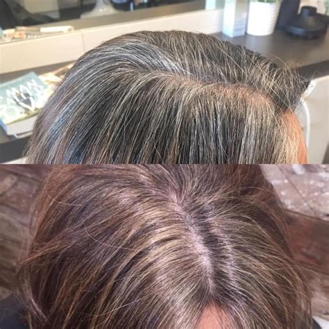 Ideas For Blending Gray Hair With Highlights And Lowlights Grey Hair Transformation Grey