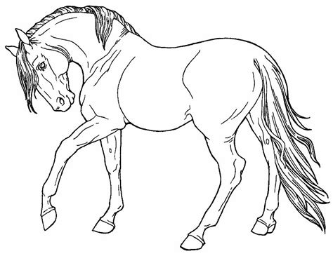 Total Imagem Desenhos Cavalos Para Colorir Br Thptnganamst Edu Vn