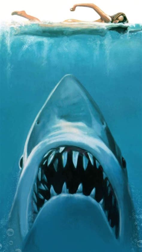 46 Iphone Shark Wallpapers