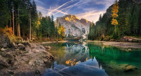 Italy Lake Mountain Forest Water Reflection Summer Green Nature