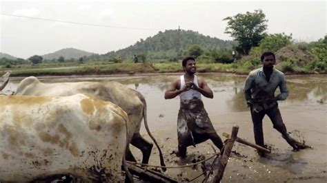 In Kiki Challenge Muddy Indian Farmers Show World How To Groove The