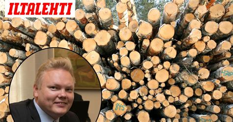 Kurvinen: Suomessa riittää puuta kaikkiin selluhankkeisiin ...