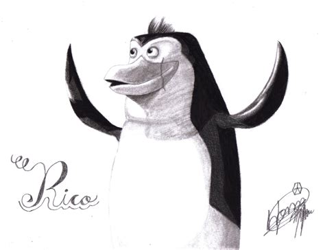 Drawings D Penguins Of Madagascar Fan Art 30768055 Fanpop