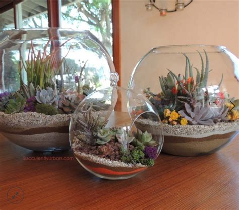 After you've isolated the problem plant, start taking steps to control its soil moisture. 25+ ways to celebrate Earth Day